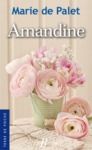 Libro electrónico Amandine