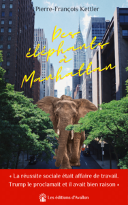 Livre numérique Des éléphants à Manhattan
