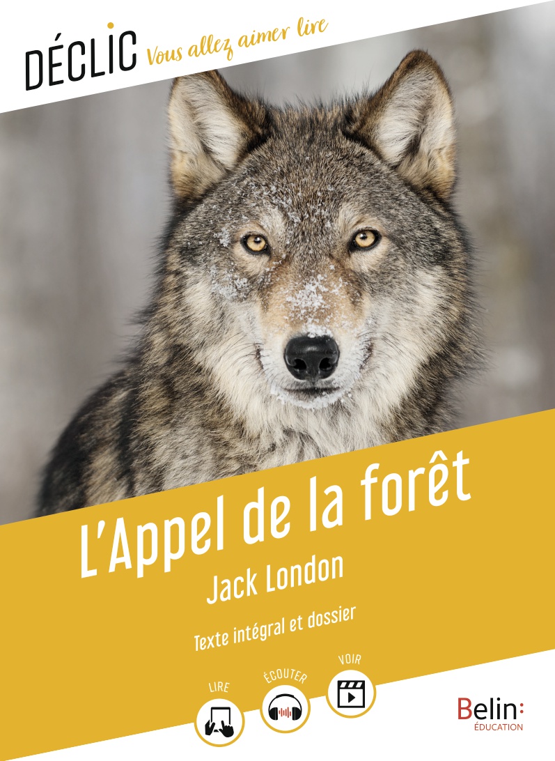 L'Appel de la forêt : Jack London - 9791035817244 - Ebook