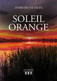 Livre numérique Soleil Orange