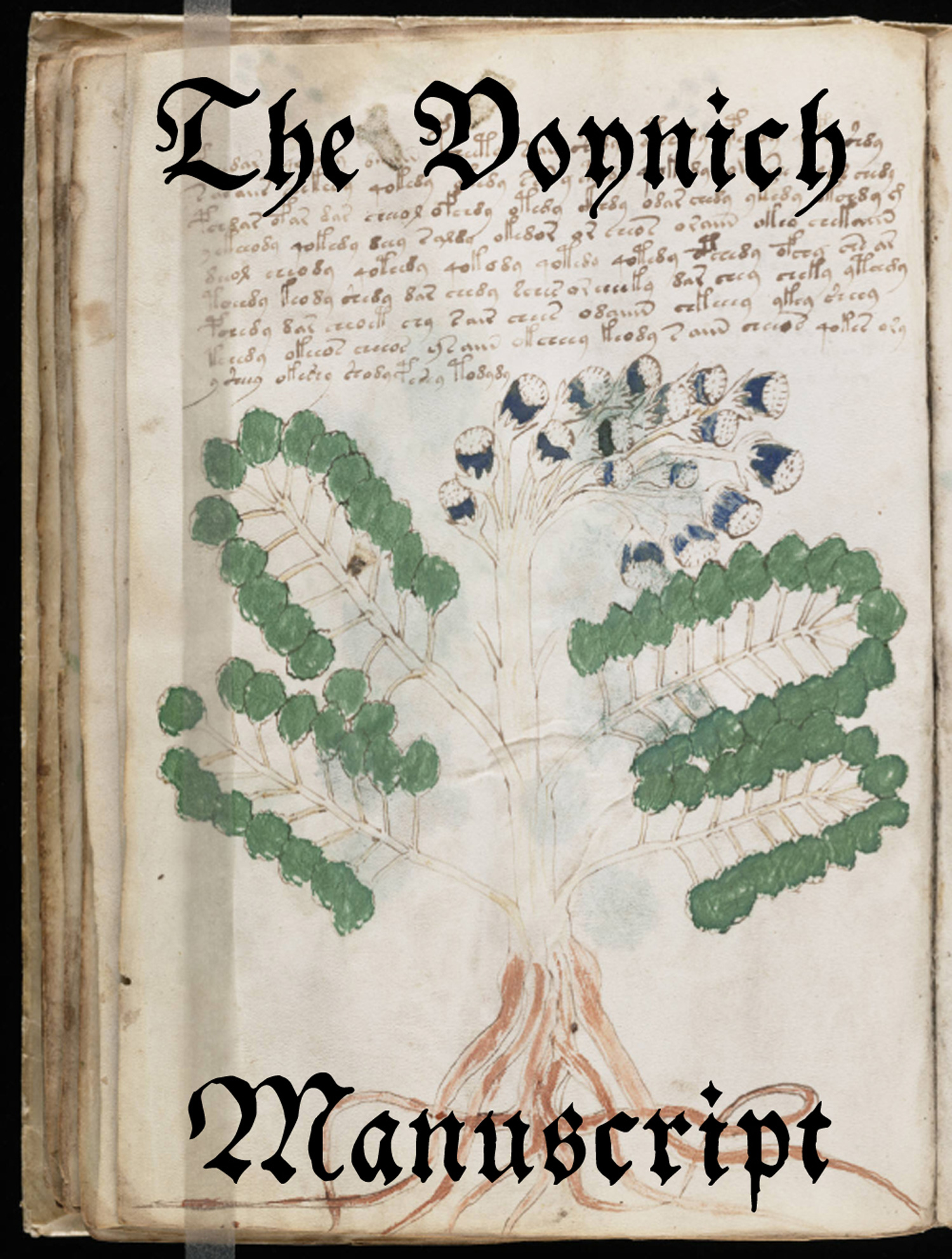 The Voynich Manuscript by Unknown