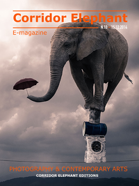 Livre numérique E-MAGAZINE CORRIDOR ELEPHANT N°10