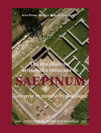 Livre numérique Les installations artisanales romaines de Saepinum