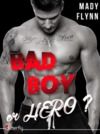 Livre numérique Bad boy or hero ? - Teaser
