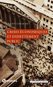 Livre numérique Crises économiques et endettement public
