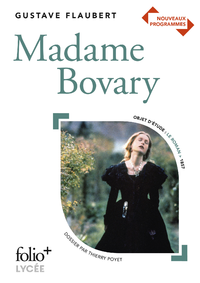 E-Book Madame Bovary