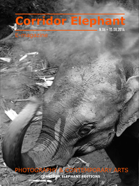 Livre numérique Corridor Elephant E MAGAZINE N 06