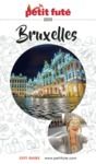 Livre numérique Guide Bruxelles 2025 Petit Futé