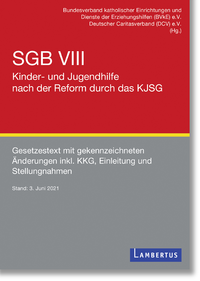 E-Book SGB VIII - Kinder- und Jugendhilfe nach der Reform durch das KJSG