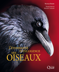 Livre numérique L'étonnante intelligence des oiseaux