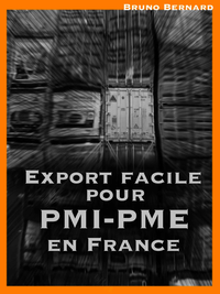Livre numérique L'export facile pour les PME-PMI françaises