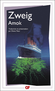 Livre numérique Amok