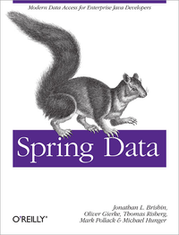 Livre numérique Spring Data