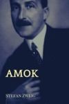 Electronic book Amok