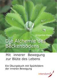 Electronic book Die Alchemie des Beckenbodens
