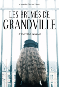 Livre numérique Les Brumes de Grandville