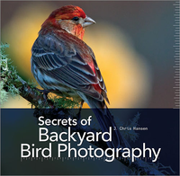 Livre numérique Secrets of Backyard Bird Photography