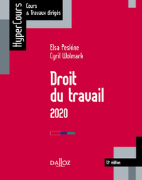 Livre numérique Droit du travail 2020 - 13e éd.