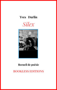 E-Book Silex