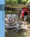 Libro electrónico Fisheries in the Pacific
