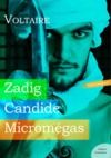 Livre numérique Zadig, Candide, Micromégas
