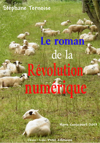 Libro electrónico Le roman de la révolution numérique