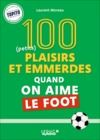 Electronic book 100 plaisirs et emmerdes quand on aime le foot
