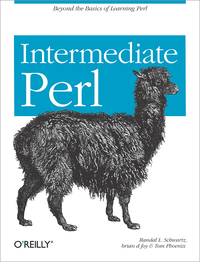 Livre numérique Intermediate Perl
