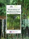 Livre numérique Illustrations of bamboos in China
