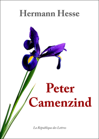 Livre numérique Peter Camenzind