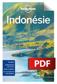 Livre numérique Indonésie 7ed