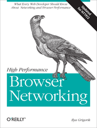 Livre numérique High Performance Browser Networking