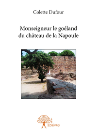 Livre numérique Monseigneur le goéland du château de la Napoule