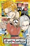 Livre numérique Akane-banashi T10