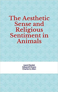 E-Book The Aesthetic Sense and Religious Sentiment in Animals