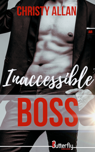 Livro digital Inaccessible Boss