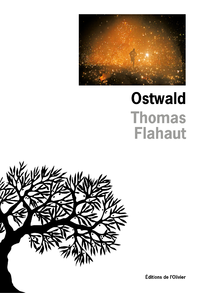 E-Book Ostwald