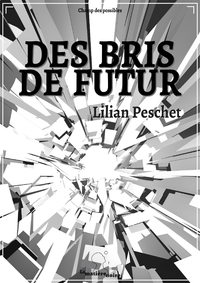 Livre numérique Des bris de futur (version light)
