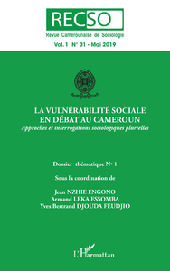 Livre numérique La vulnérabilité sociale en débat au Cameroun