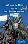 Livre numérique L'Afrique du Nord après les révoltes arabes