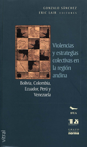 Electronic book Violencia y estrategias colectivas en la región andina
