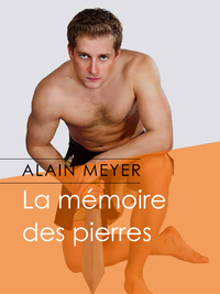 Libro electrónico La mémoire des pierres