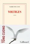 E-Book Voltiges