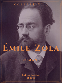Libro electrónico Coffret Émile Zola