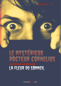 Livre numérique Le Mystérieux Docteur Cornélius, épisode 13