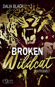 E-Book Broken Wildcat: Entfesselt