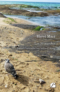 Libro electrónico Les 39 marches - Journal d’un confiné aux Sables-d’Olonne