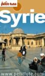 Livre numérique Syrie 2011/2012 Petit Futé