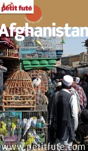 Livre numérique Afghanistan 2013 Petit Futé