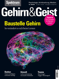Livre numérique Gehirn&Geist 9/2020 Baustelle Gehirn